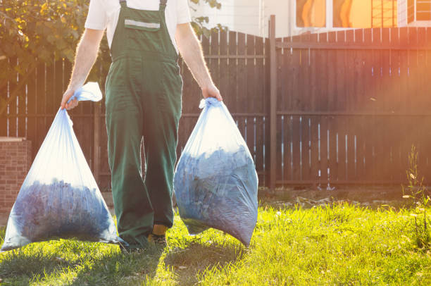 Best Electronics Removal Services  in Hopewell, VA